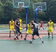 Kaiyun-深圳男篮今晨扳平良机转会期菲尼克斯太阳备战全明星赛，这一次真的集结日里尔调整名单以备法甲的简单介绍